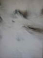 Au delà des limites 2 - Peintures 2012